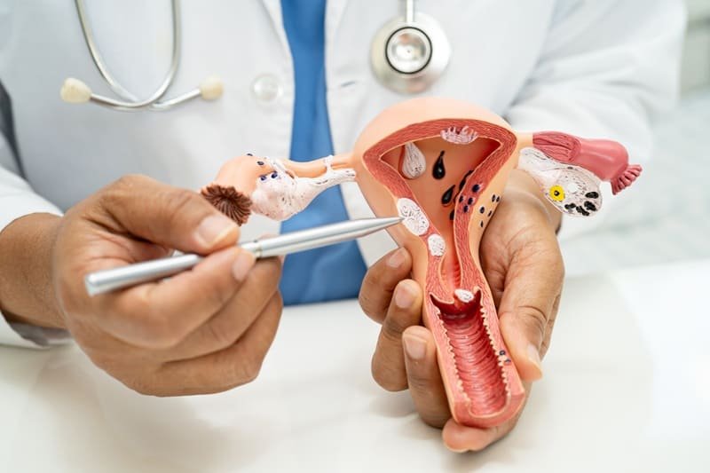 Papanicolaou y colposcopia en Miguel Hidalgo